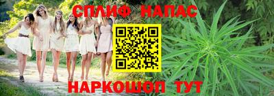 сатива Новокубанск