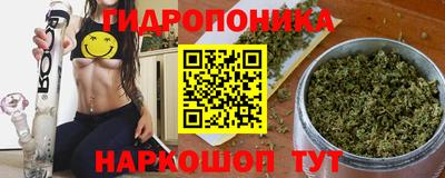 сатива Новокубанск