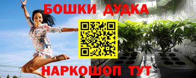 сатива Новокубанск