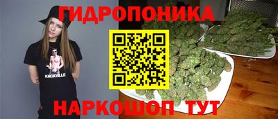 сатива Новокубанск