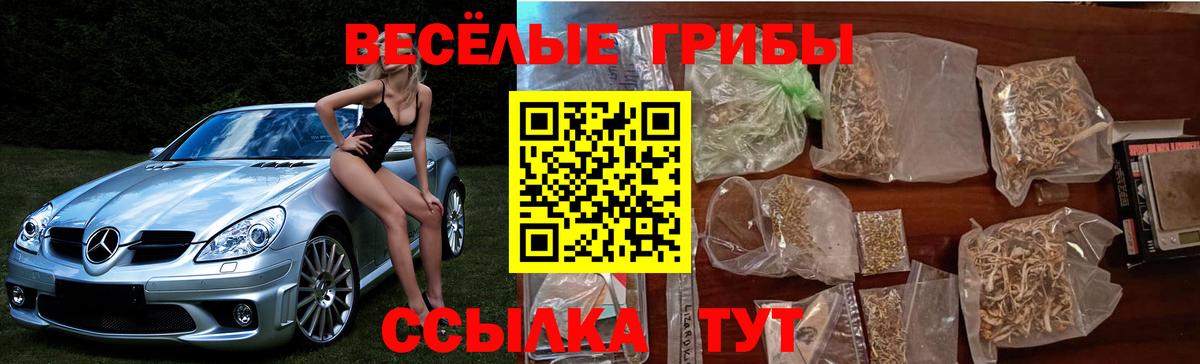 Ханты-Мансийск  где найти   Вход с VPN  Галлюциногенные грибы GOLDEN TEACHER 